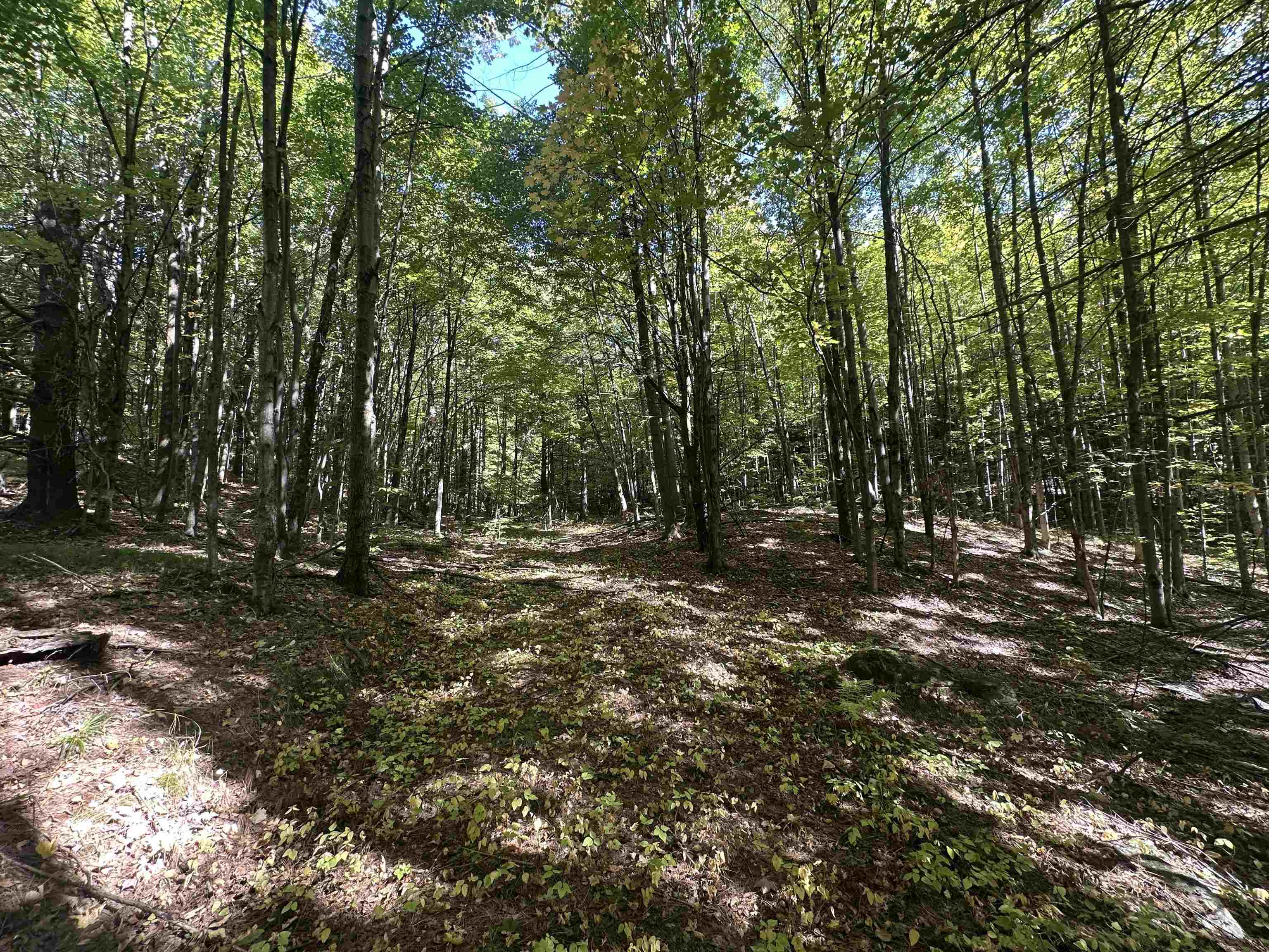 0 North Road Milton, VT 05468 - Photo 48 of 60