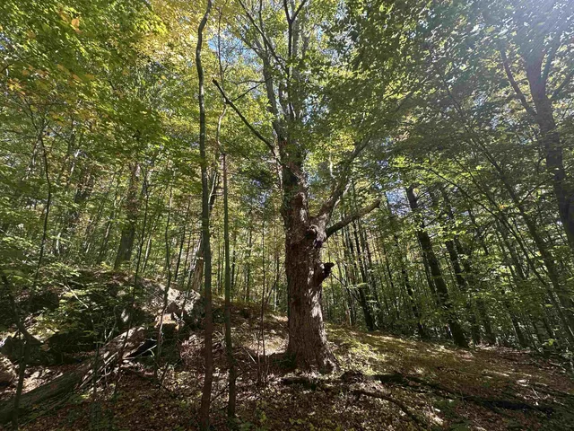 $1,250,000 | 0 North Road, Milton, VT 05468