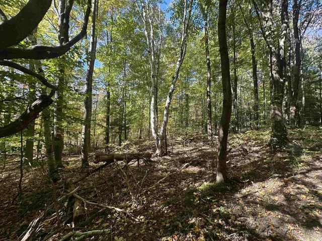 $1,250,000 | 0 North Road, Milton, VT 05468