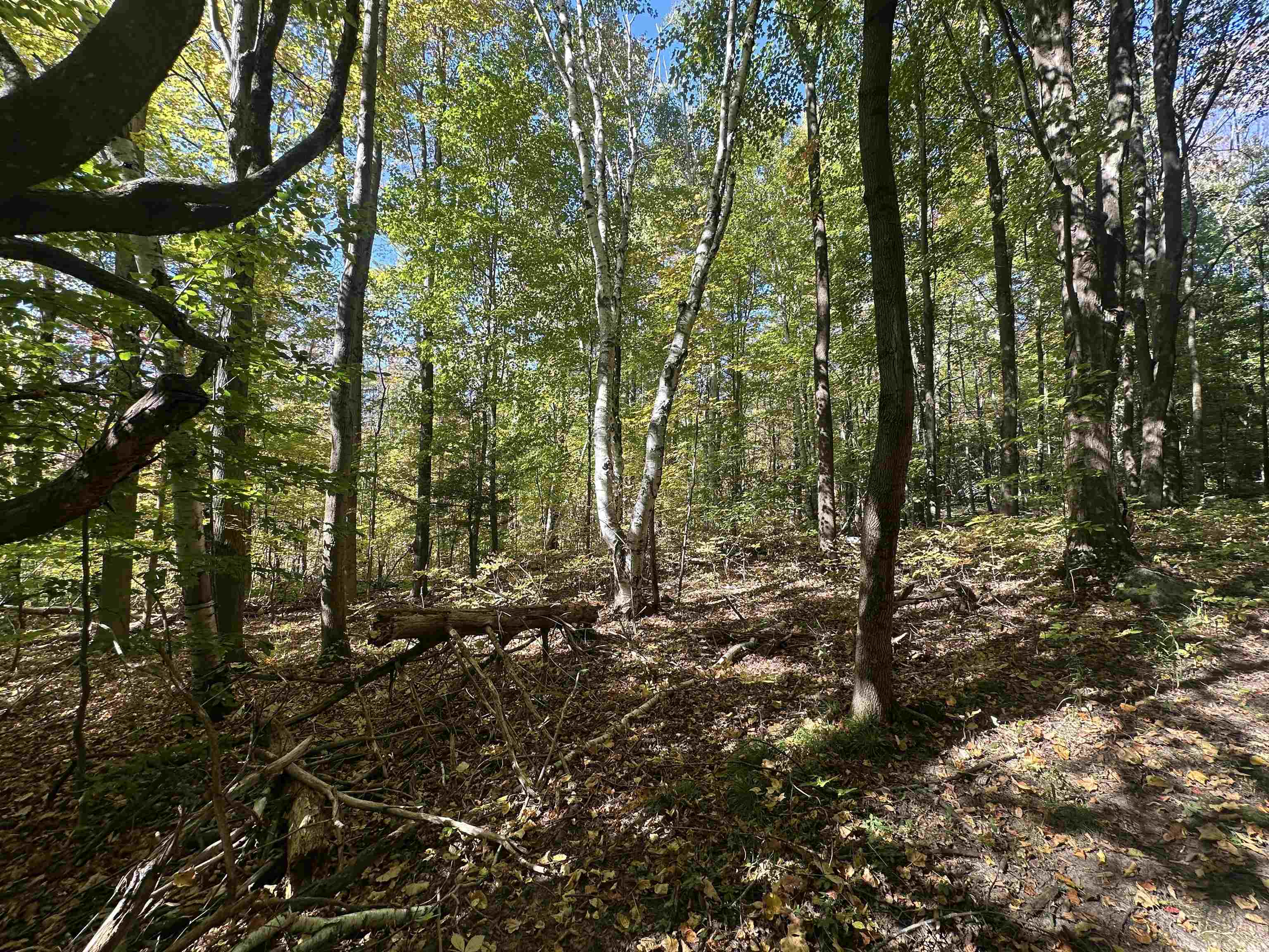 0 North Road Milton, VT 05468 - Photo 50 of 60