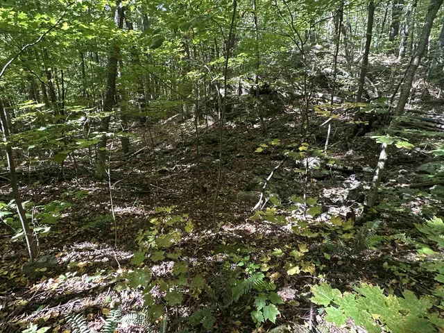 $1,250,000 | 0 North Road, Milton, VT 05468