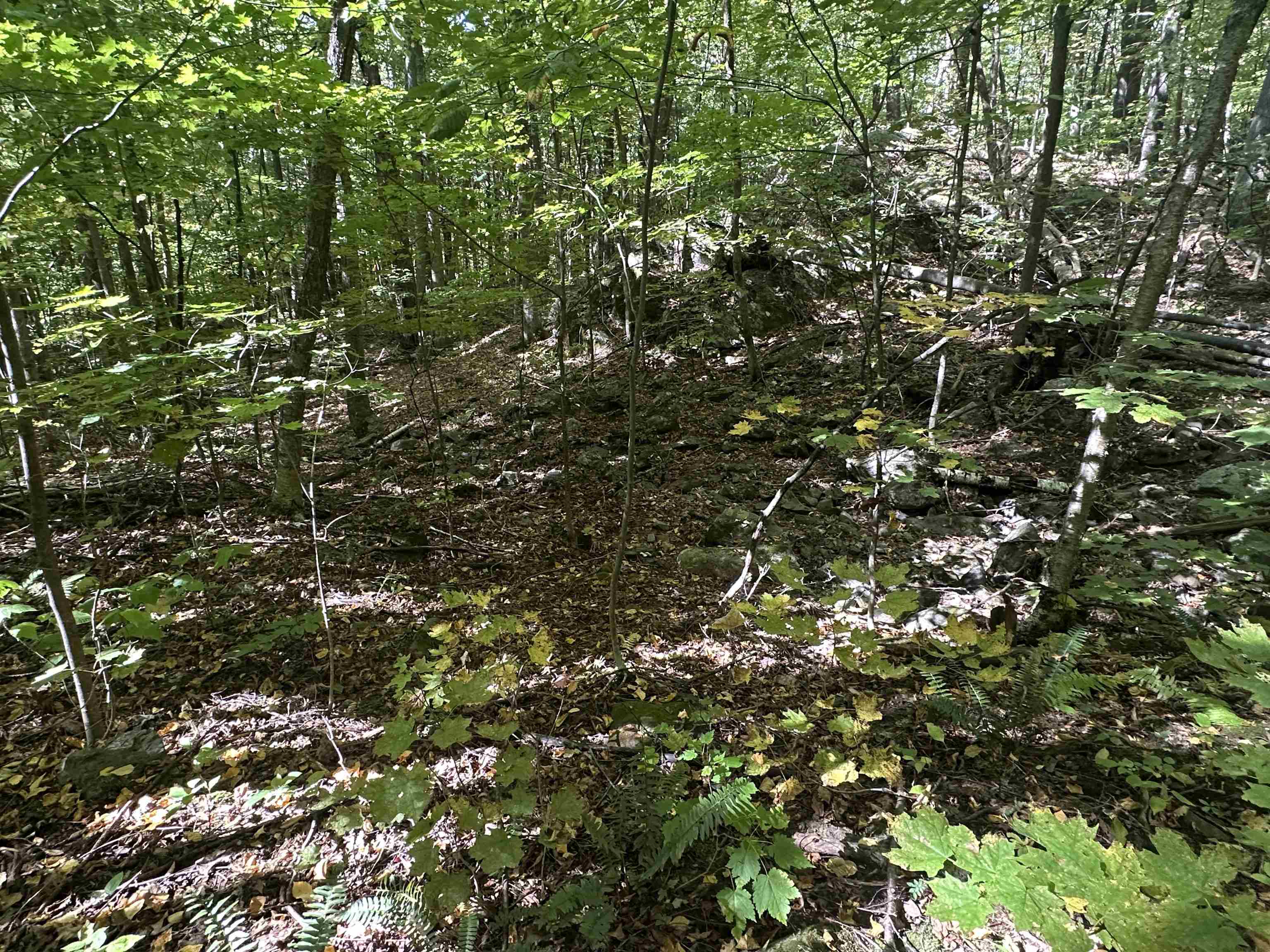 0 North Road Milton, VT 05468 - Photo 51 of 60