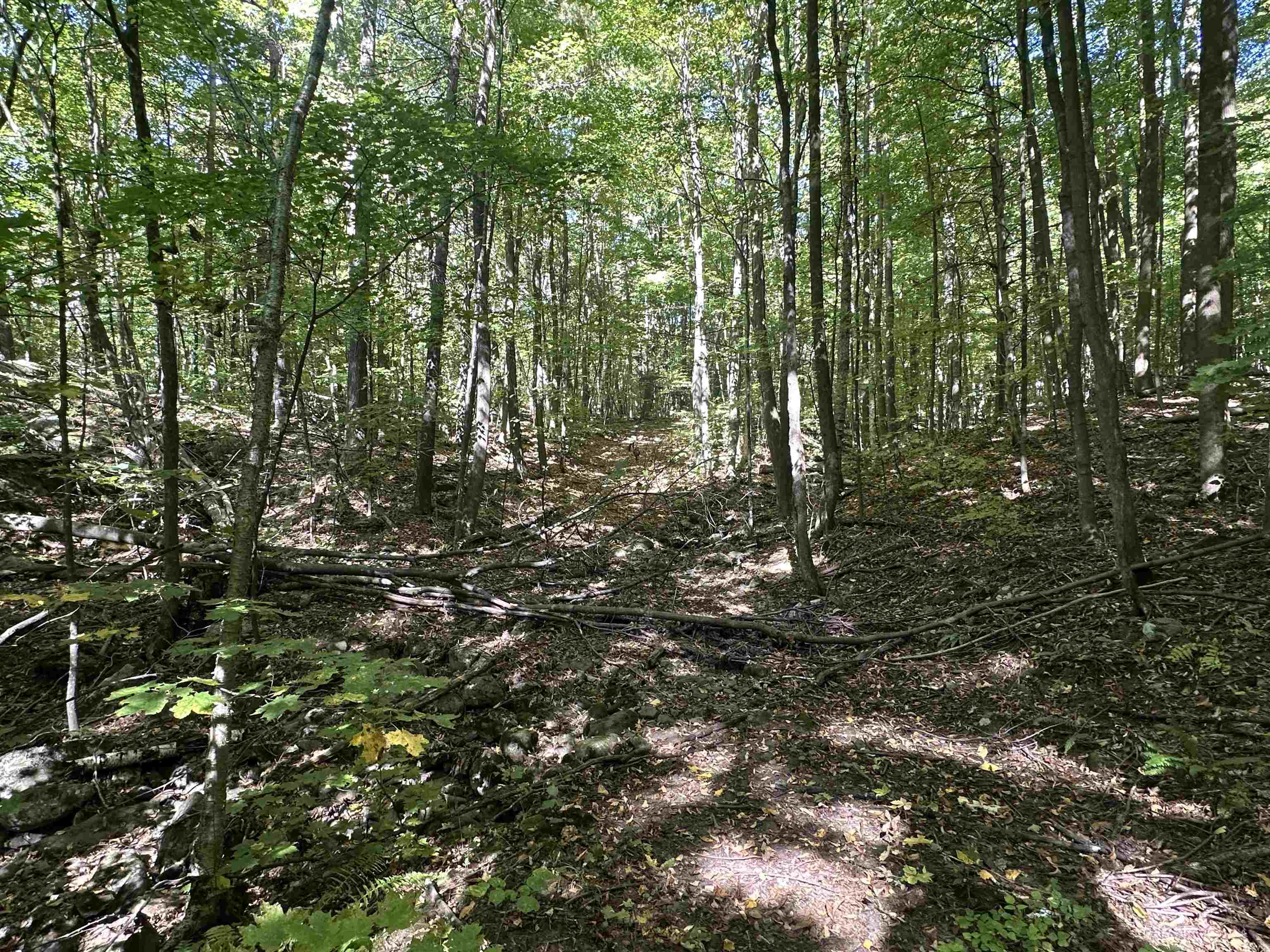 0 North Road Milton, VT 05468 - Photo 52 of 60