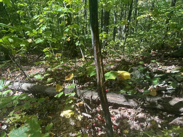 $1,250,000 | 0 North Road, Milton, VT 05468