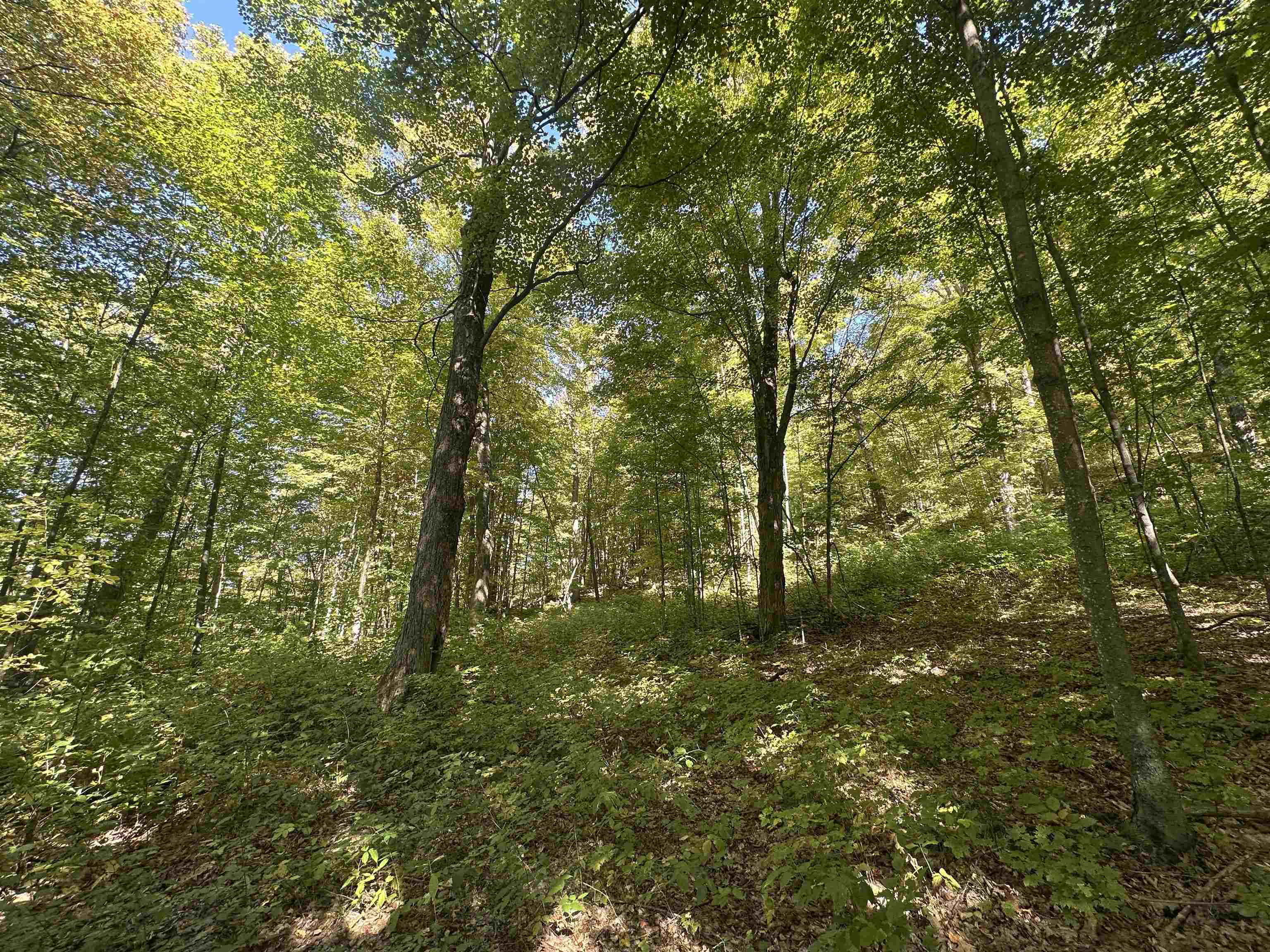 0 North Road Milton, VT 05468 - Photo 54 of 60