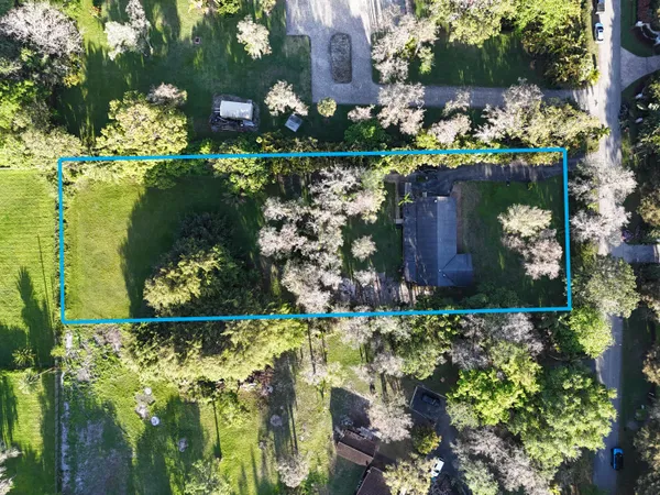 a bunch of flowers are in a garden