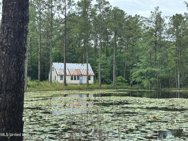 $220,000 | 261 Tom Chance Road, Poplarville, MS 39470