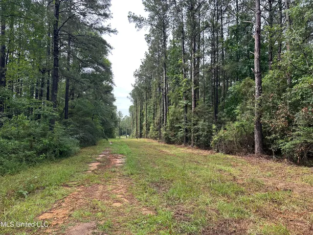 $220,000 | 261 Tom Chance Road, Poplarville, MS 39470