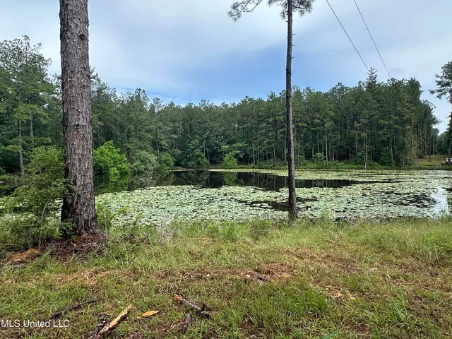 $220,000 | 261 Tom Chance Road, Poplarville, MS 39470