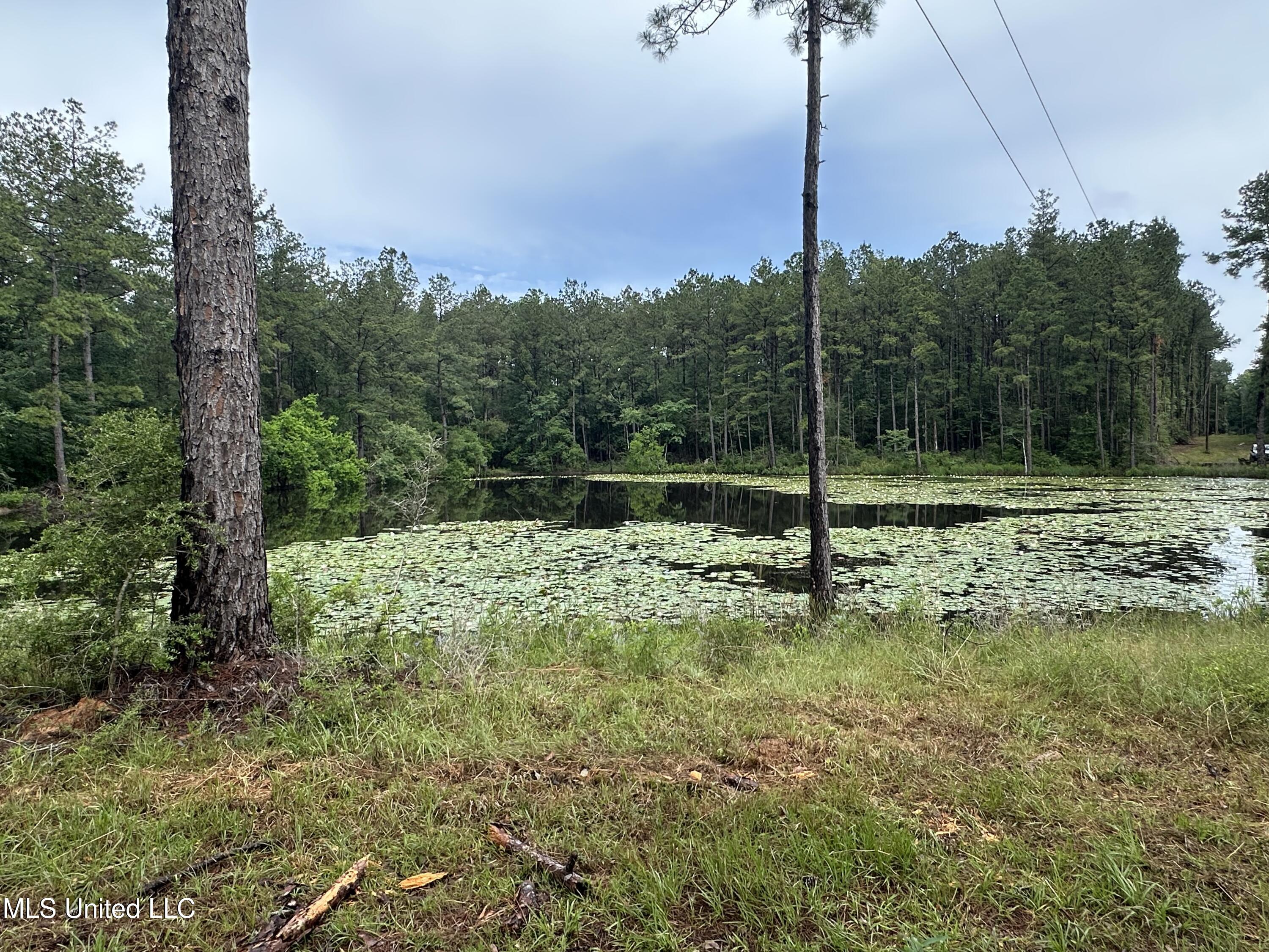 261 Tom Chance Road Poplarville, MS 39470 - Photo 12 of 22 IMG_2041