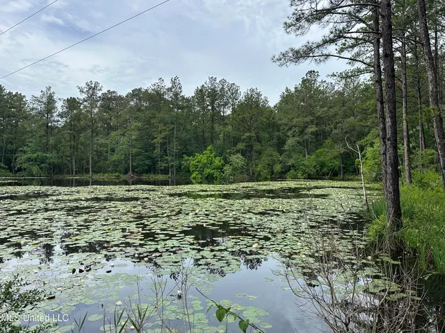 $220,000 | 261 Tom Chance Road, Poplarville, MS 39470