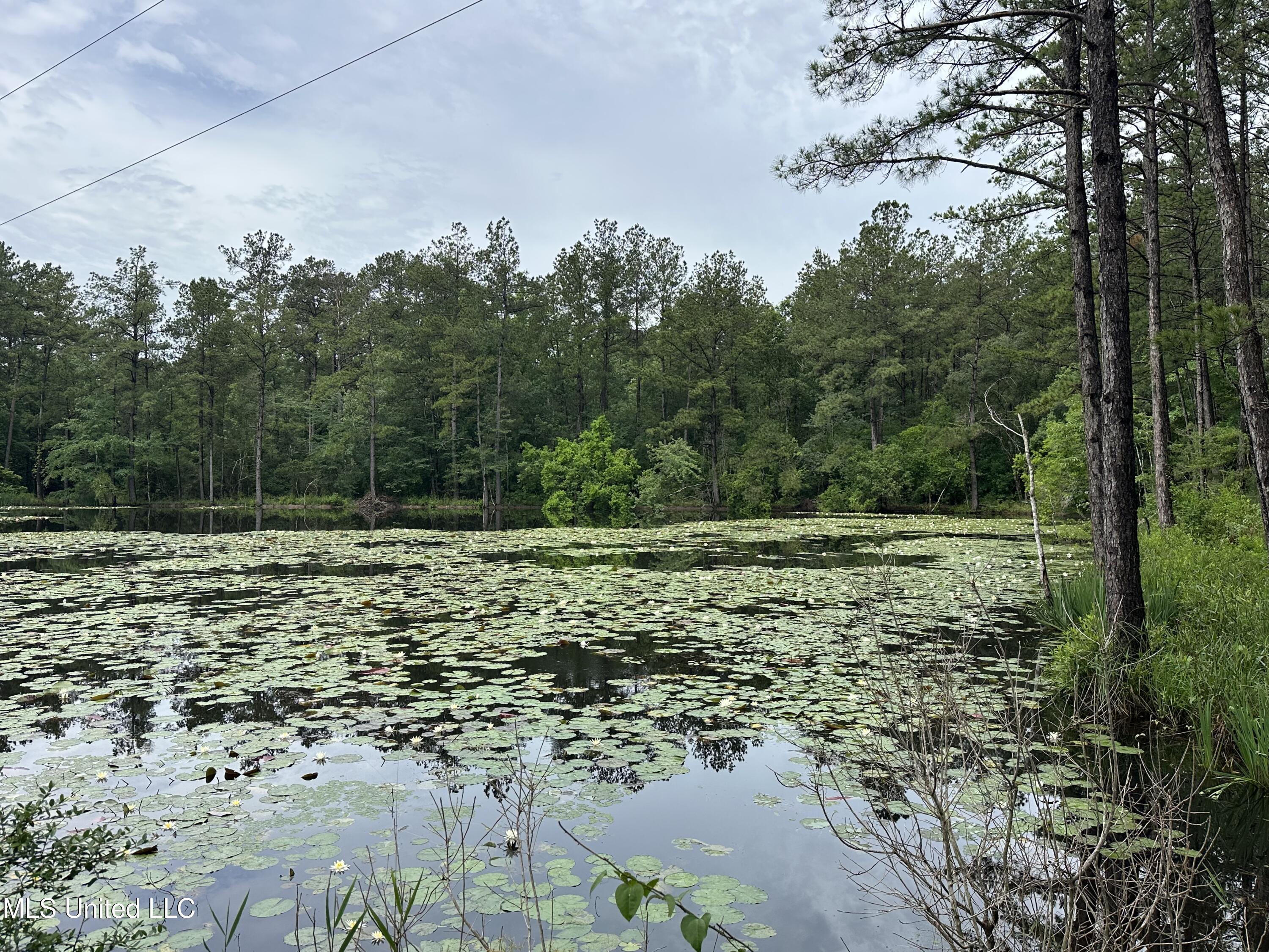 261 Tom Chance Road Poplarville, MS 39470 - Photo 5 of 22 IMG_2036