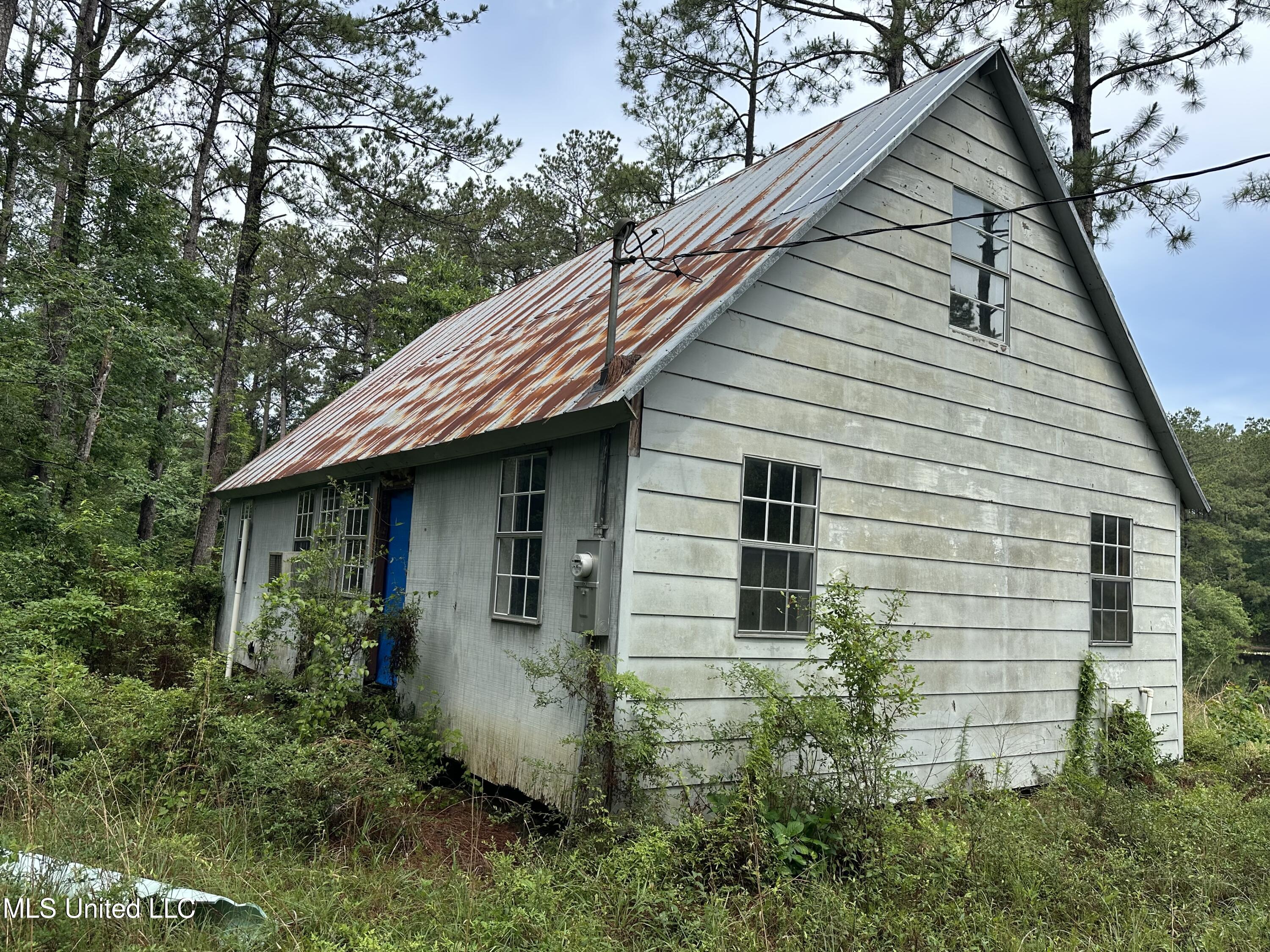 261 Tom Chance Road Poplarville, MS 39470 - Photo 6 of 22 IMG_2043