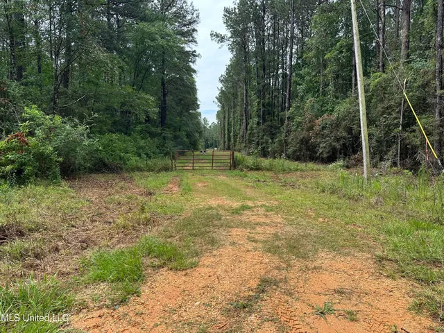 $220,000 | 261 Tom Chance Road, Poplarville, MS 39470