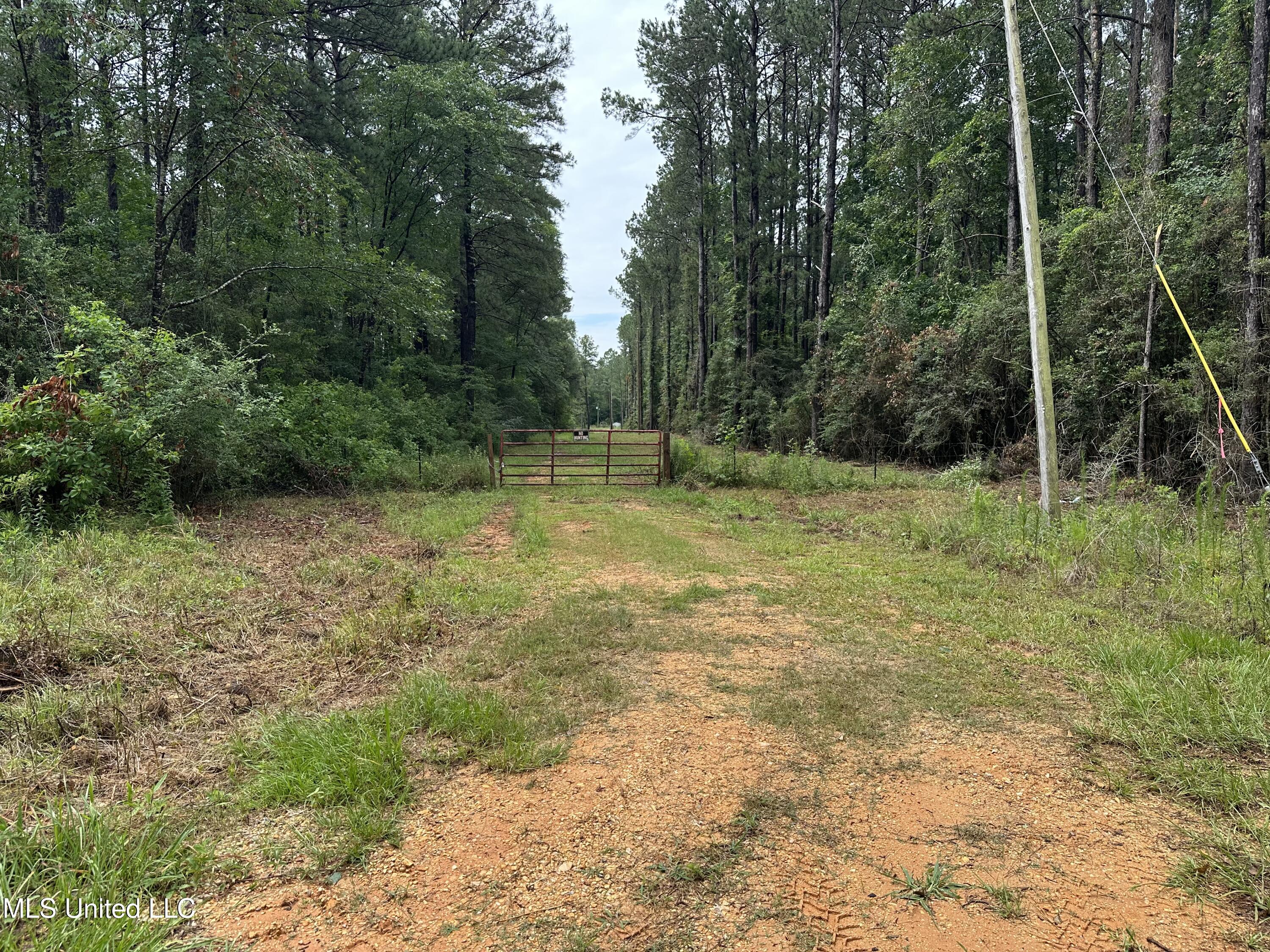 261 Tom Chance Road Poplarville, MS 39470 - Photo 8 of 22 IMG_2056