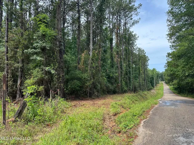 $220,000 | 261 Tom Chance Road, Poplarville, MS 39470