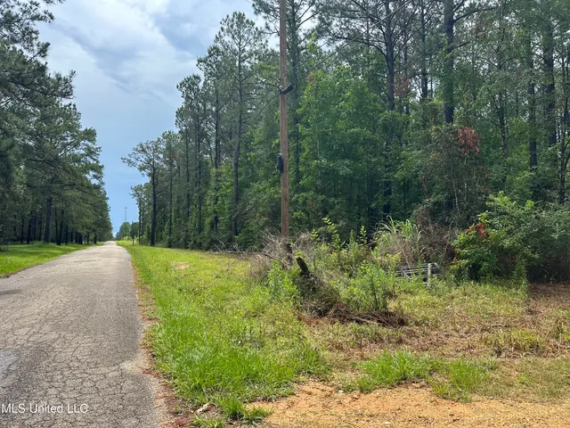 $220,000 | 261 Tom Chance Road, Poplarville, MS 39470