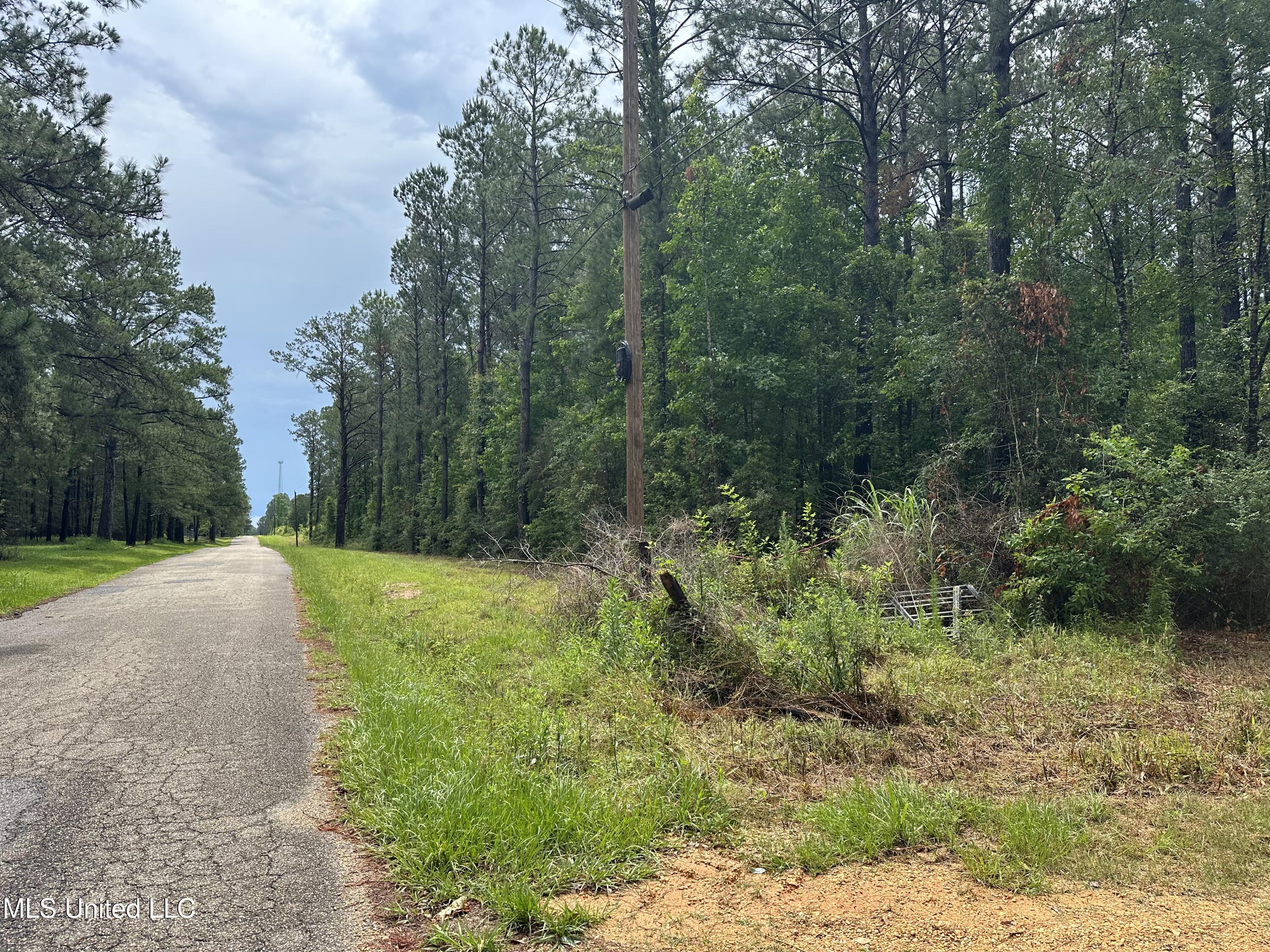 261 Tom Chance Road Poplarville, MS 39470 - Photo 10 of 22 IMG_2032