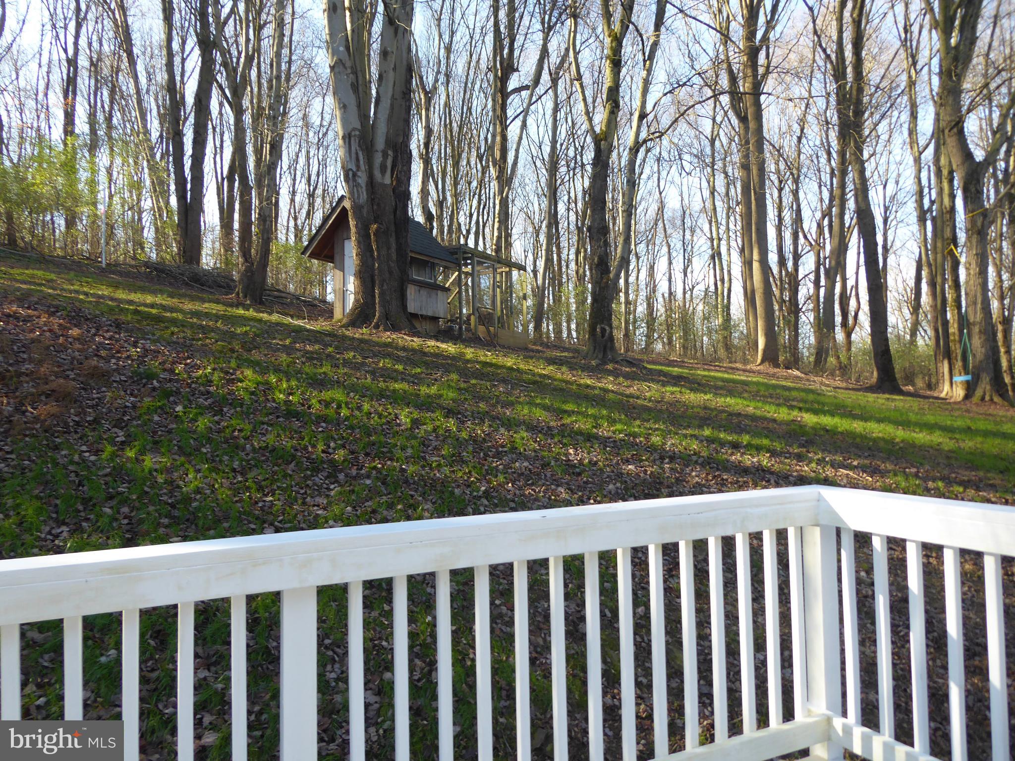 135 Watson Mill Road Landenberg, PA 19350 - Photo 18 of 56 Back yard