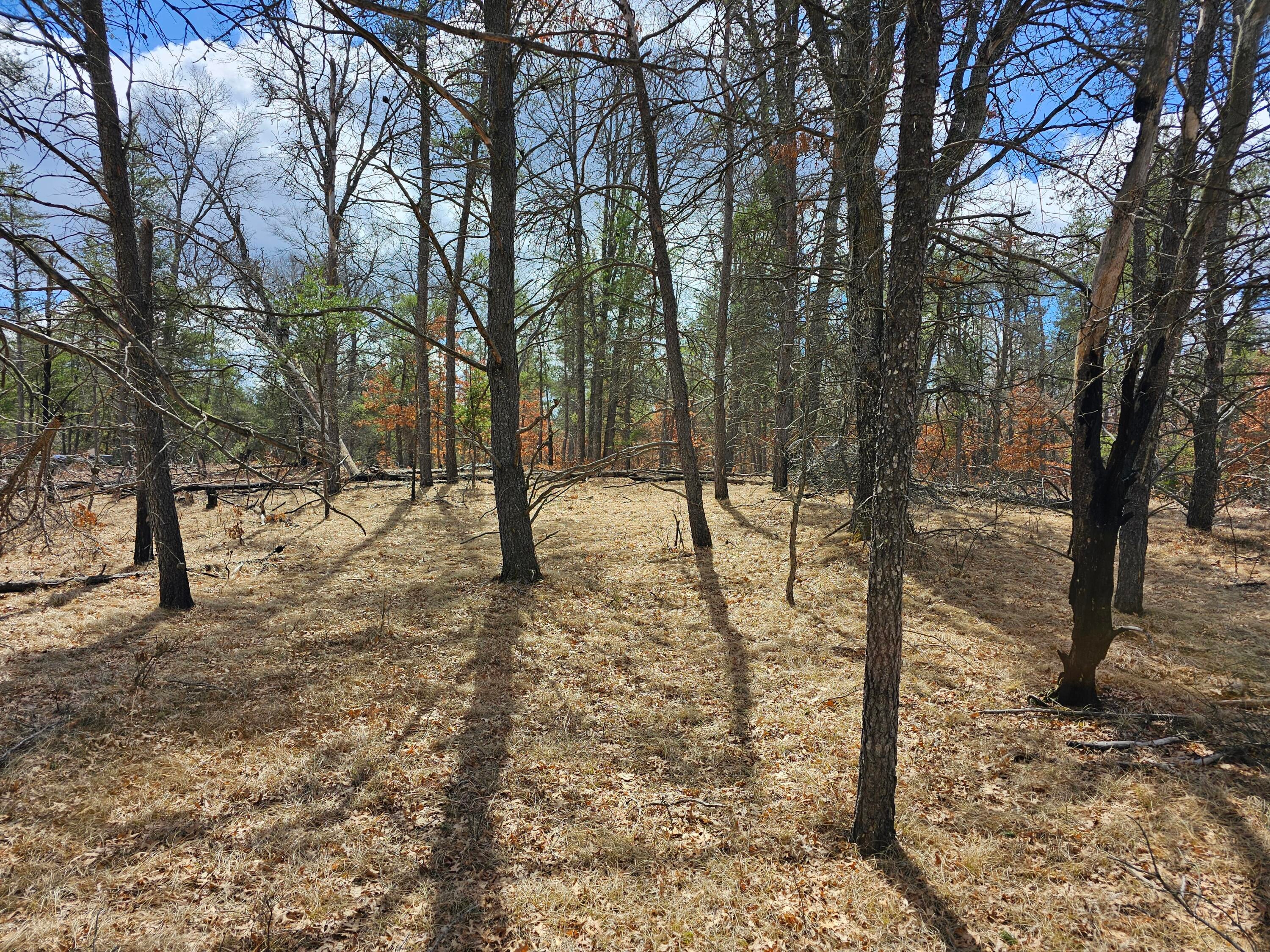 Lot 107 South Huntinghorn Road Roscommon, MI 48653 - Photo 11 of 11 Gallery Image 11