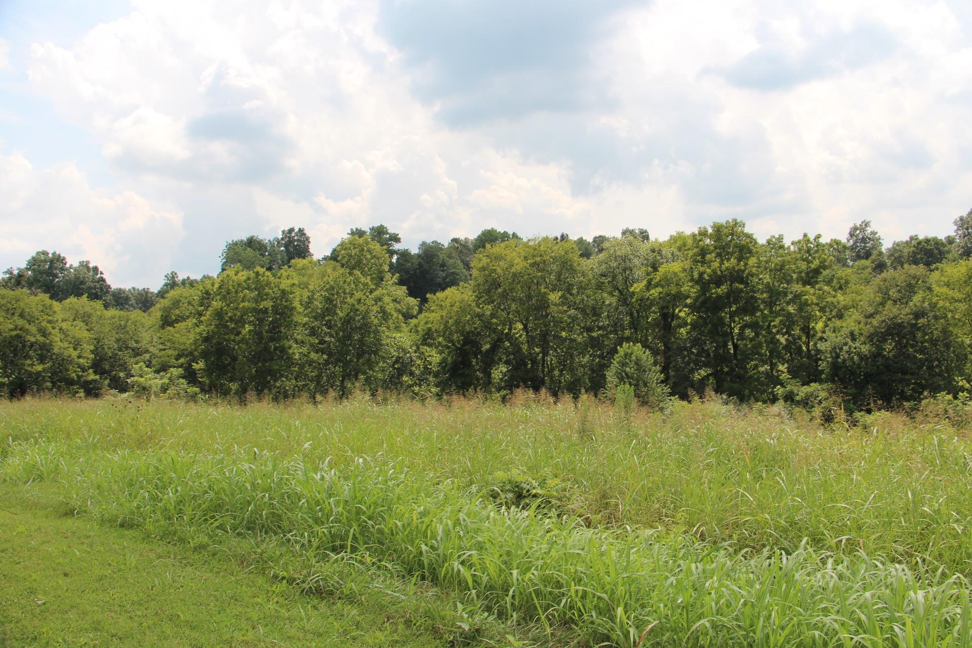 0 Thompson Road Springfield, TN 37172 - Photo 1 of 1
