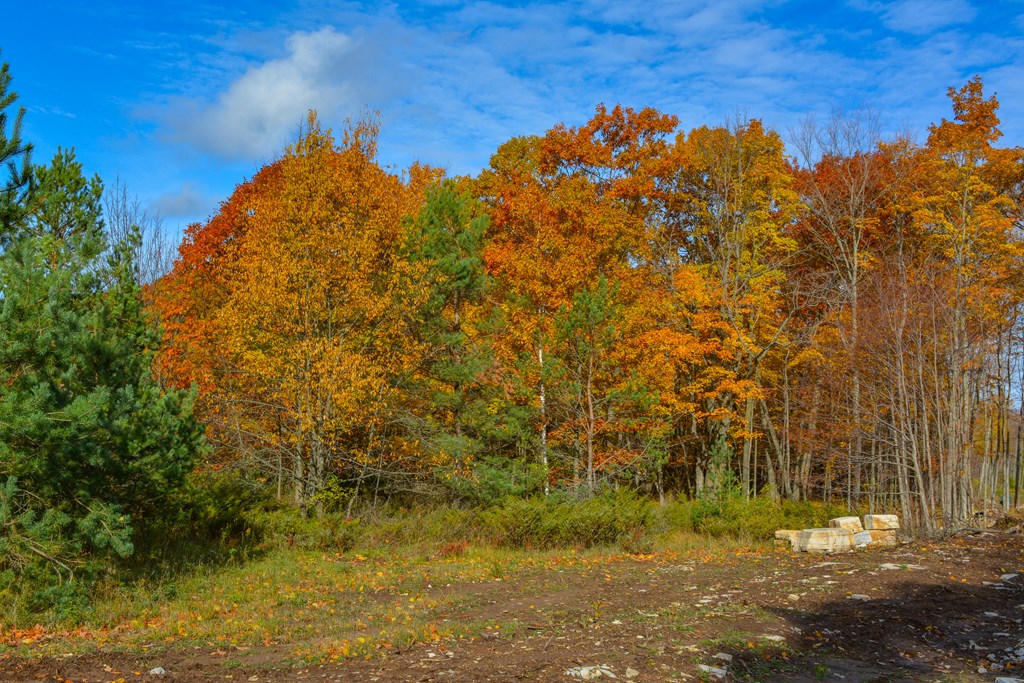 Bluff Lane Fish Creek, WI 54212 - Photo 7 of 9