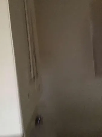 a view of a plant in a bathroom