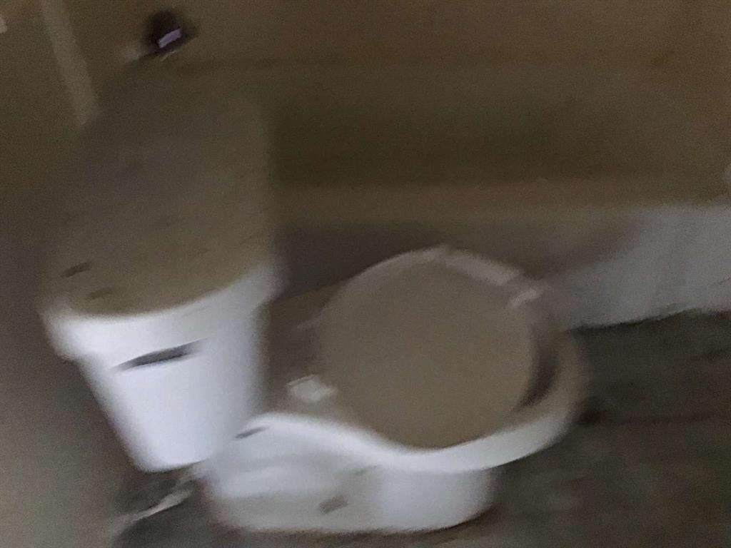 1847 Cook Street Shreveport, LA 71101 - Photo 17 of 38 a view of a plant in a bathroom