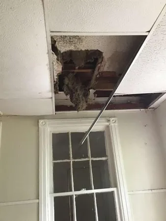 a close view of closet