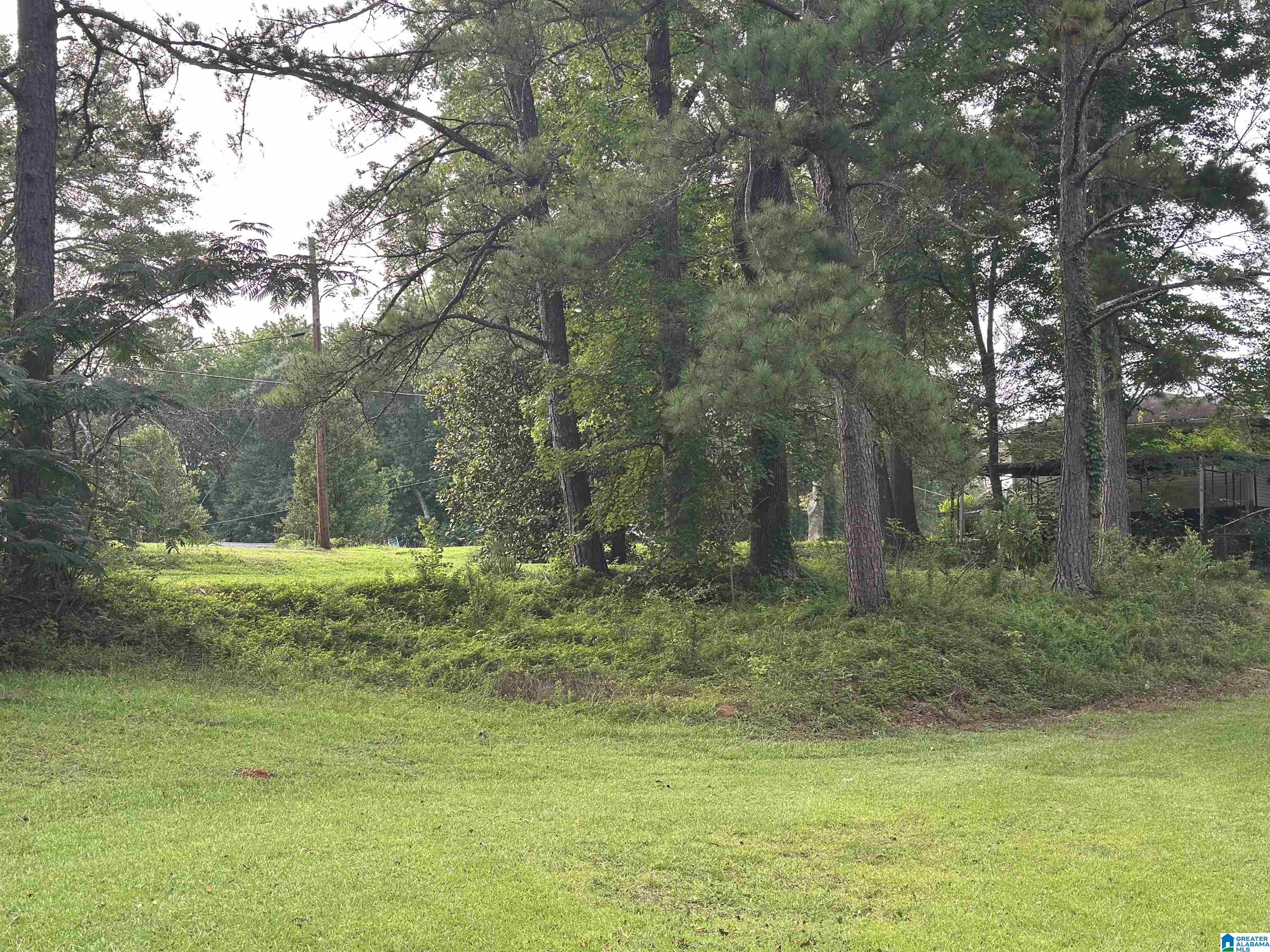 1988 County Road Alexander City, AL 35010 - Photo 5 of 26