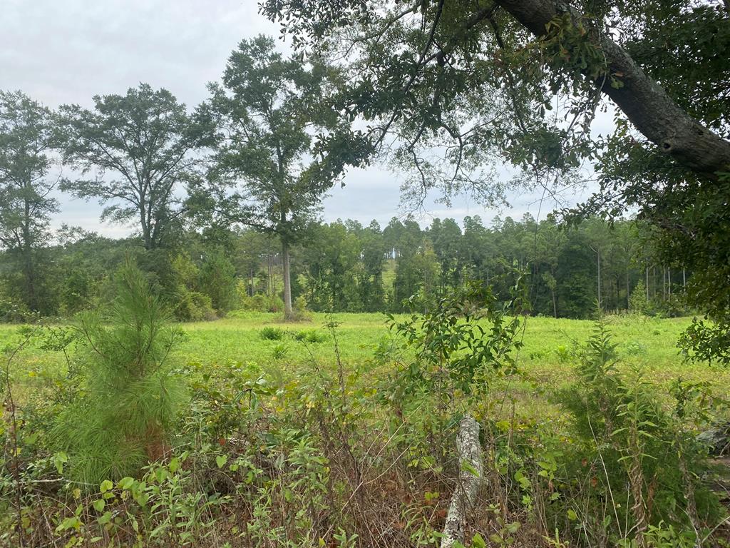 250 Adams Mill Road Clayton, AL 36016 - Photo 38 of 74