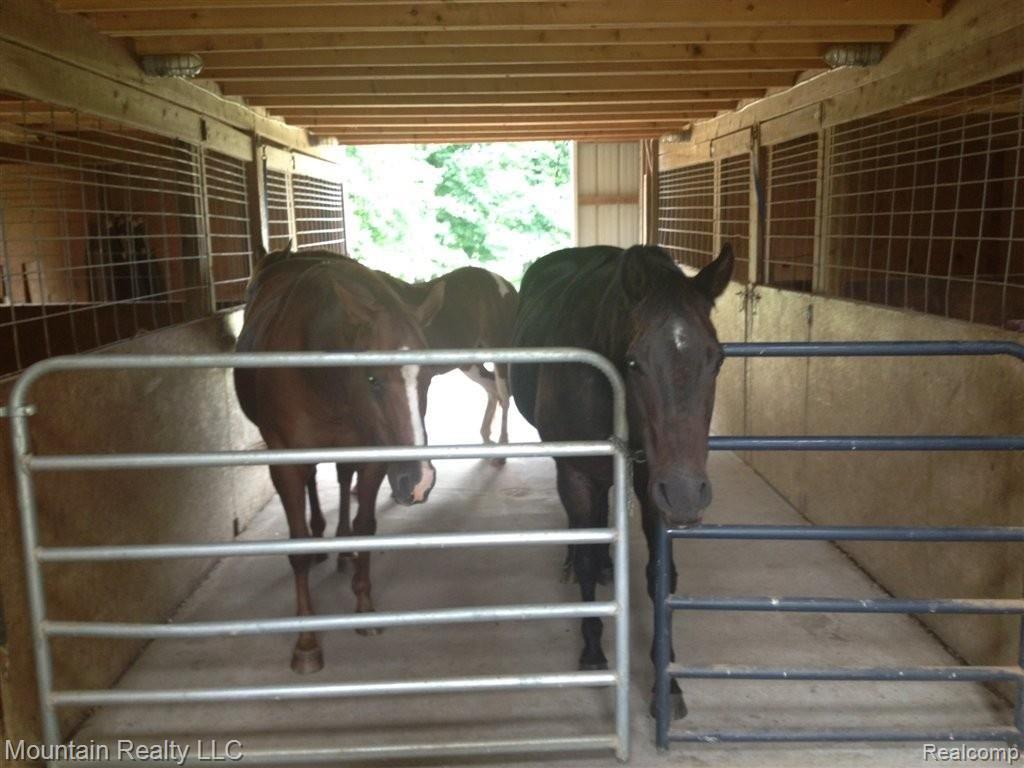 4661 Crawford Road Dryden, MI 48428 - Photo 17 of 20 BARN W/WATER