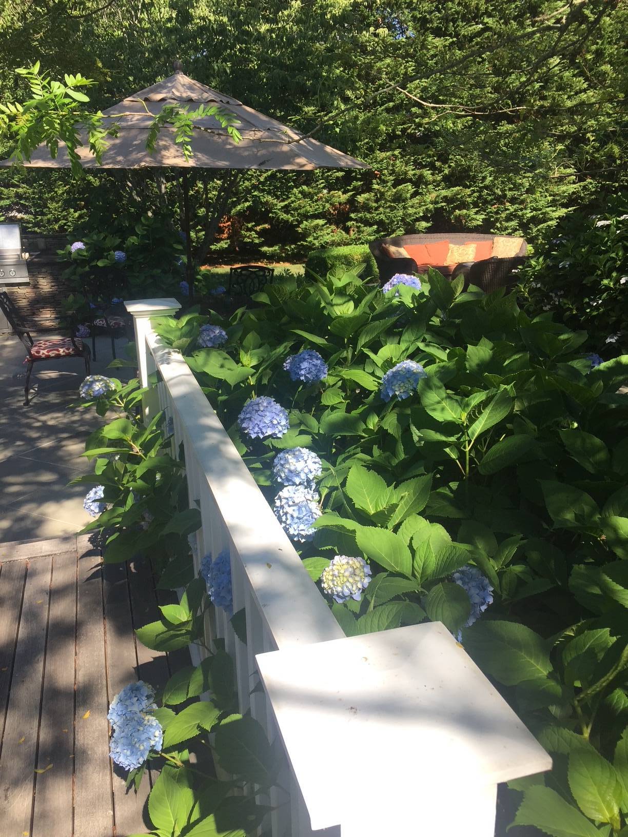 3 Stone Lane Quogue, NY 11959 - Photo 5 of 35