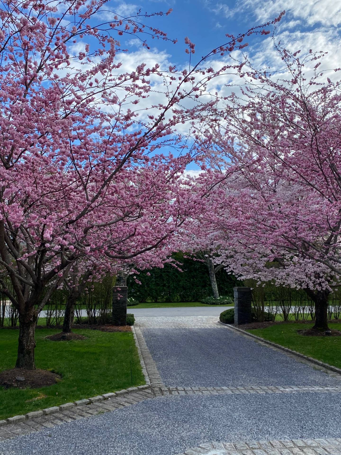 3 Stone Lane Quogue, NY 11959 - Photo 8 of 35 a view of a street with a house in the background