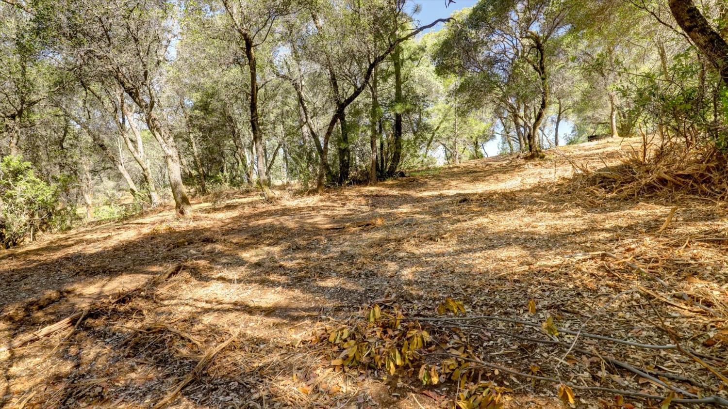 0 Southridge Road Penn Valley, CA 95946 - Photo 61 of 72
