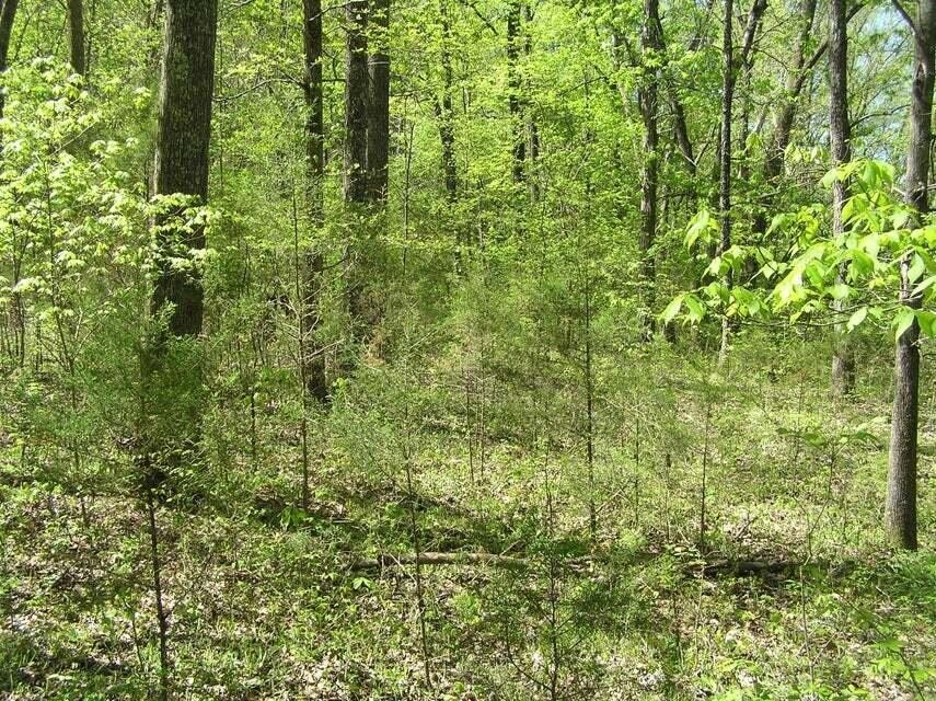 633 Graham Road Dunlap, TN 37327 - Photo 3 of 9 Gallery Image 3
