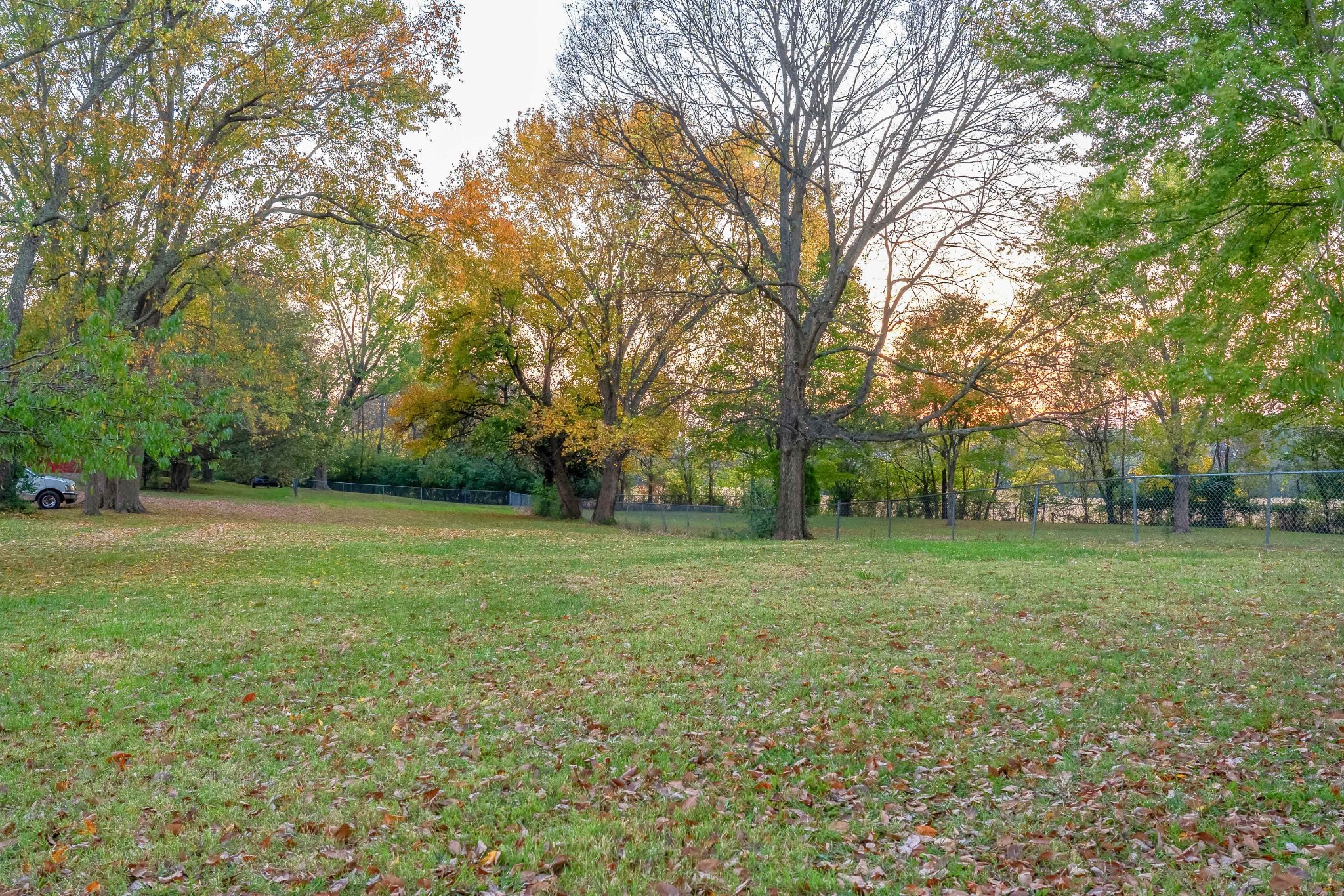 1503 5th Avenue West Springfield, TN 37172 - Photo 65 of 98