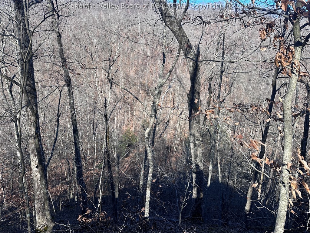 981 Powell Branch Road Danville, WV 25053 - Photo 46 of 50 Gallery Image 46