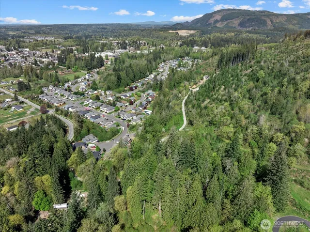 a view of a lush green forest with trees and some houses