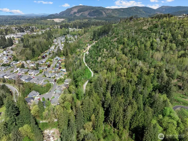 a view of a lush green field with mountains in the background