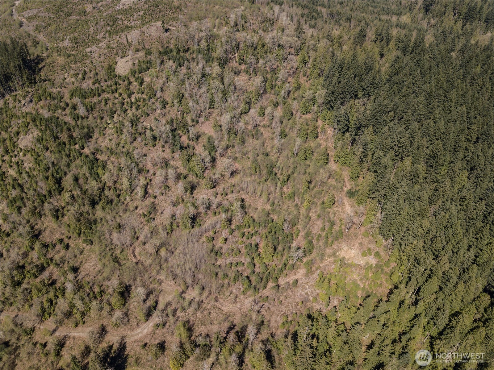 -xx Menzel Lake Road Granite Falls, WA 98252 - Photo 25 of 31 a close up of a wall
