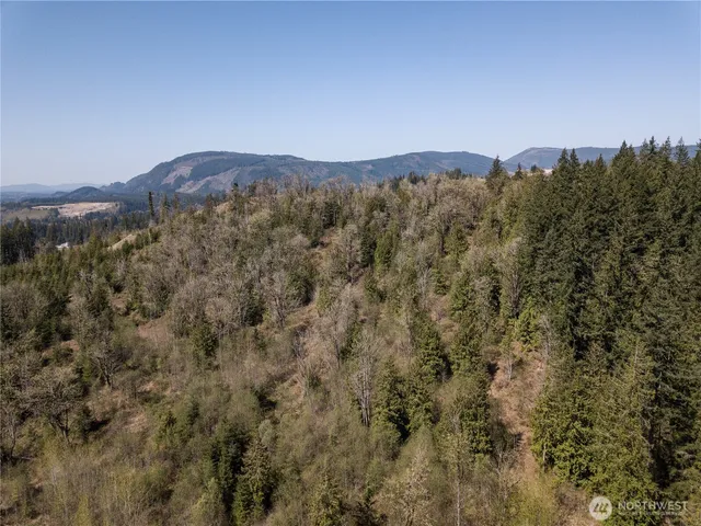 a view of a bunch of trees