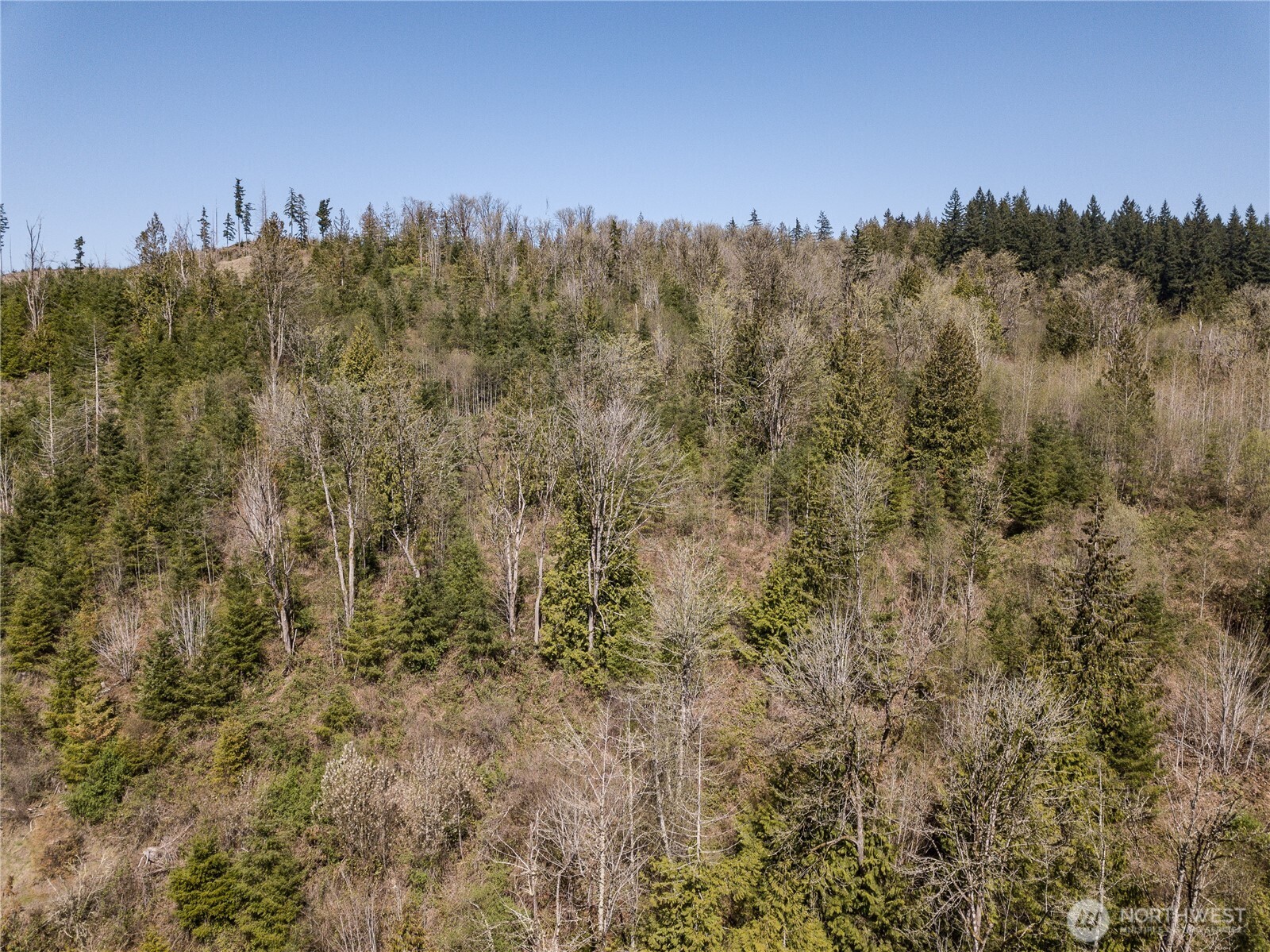 -xx Menzel Lake Road Granite Falls, WA 98252 - Photo 29 of 31 a view of a bunch of trees