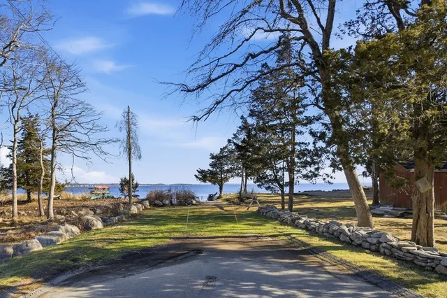 a view of a yard with large trees