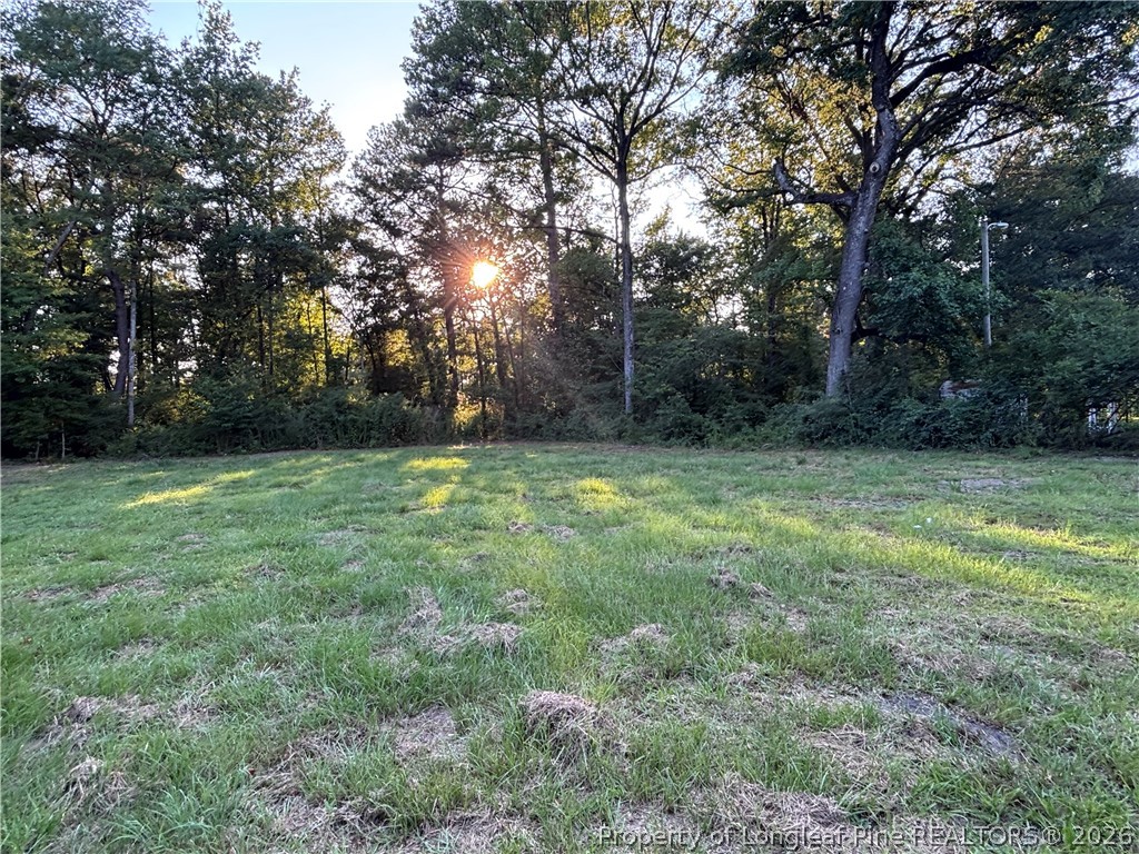 595 Shaw Road St. Pauls, NC 28384 - Photo 13 of 29