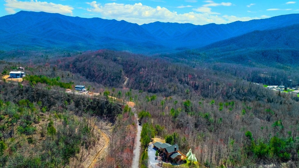 32 Sonshine Ridge Road Cosby, TN 37722 - Photo 14 of 24 Gallery Image 14