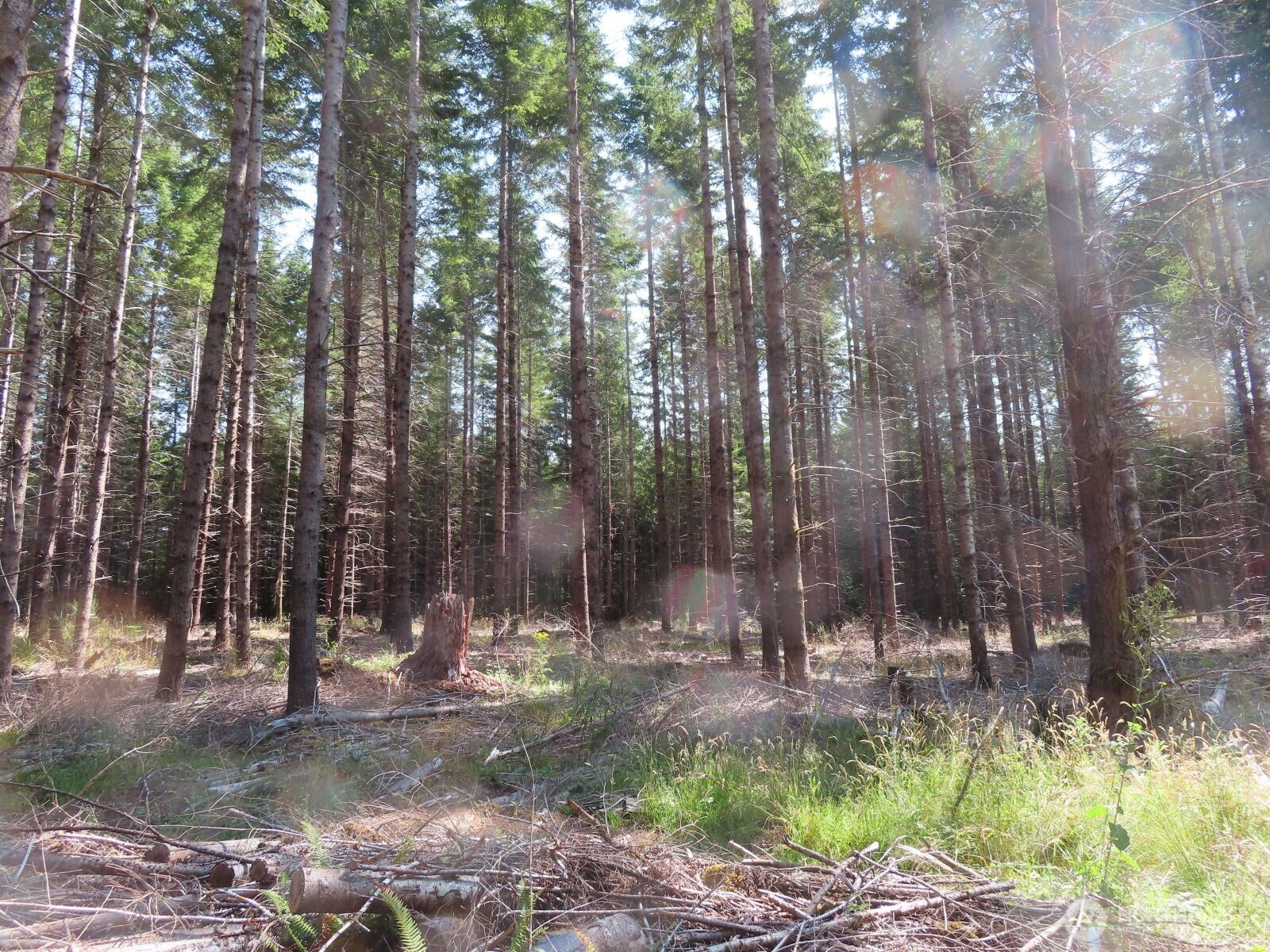 -xxx Chandler Road Chehalis, WA 98532 - Photo 20 of 22 Gallery Image 20