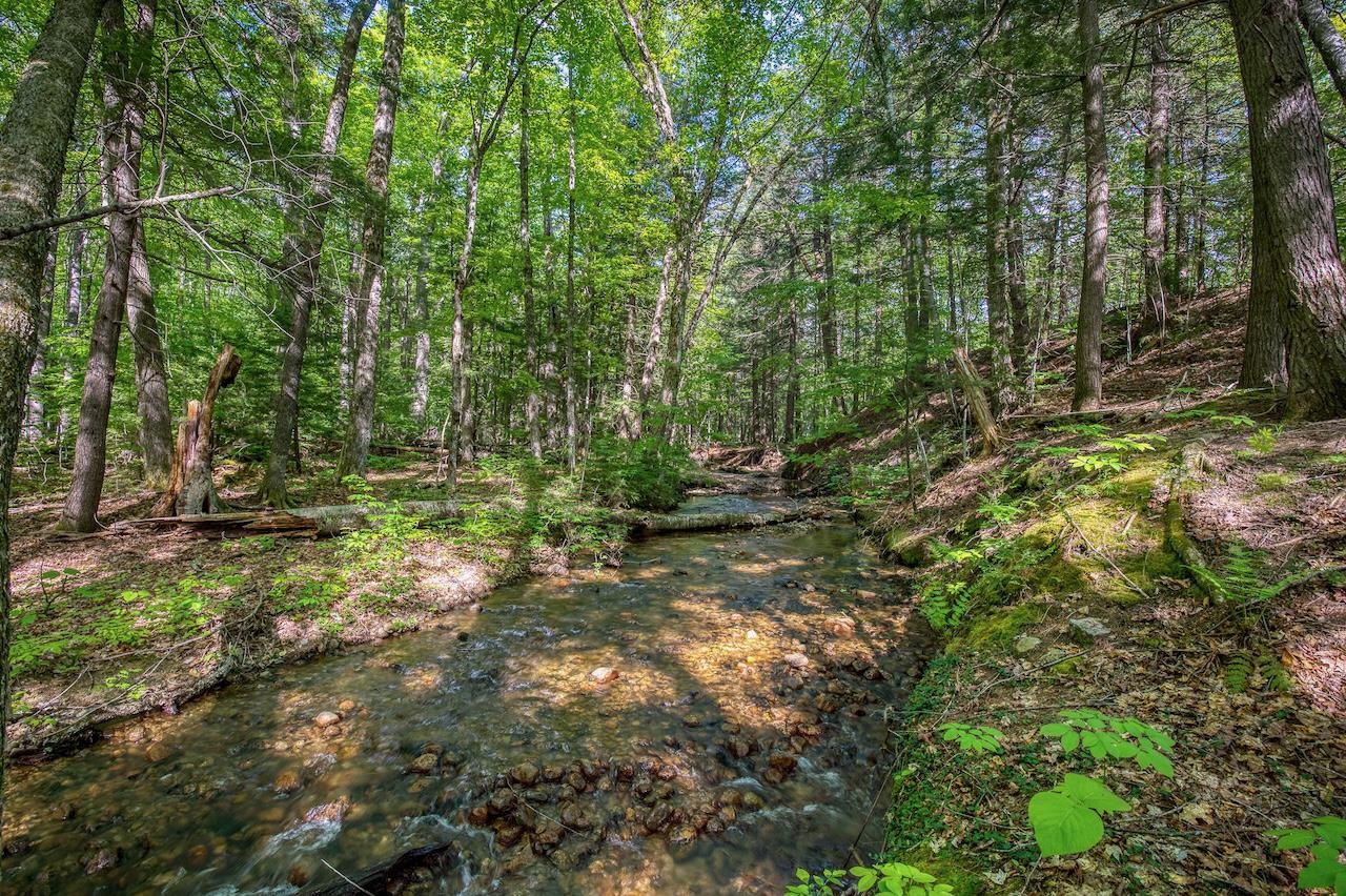42 Thompson Road Conway, NH 03860 - Photo 28 of 40