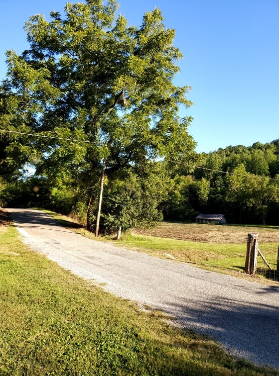 1971 Short Creek Road Linden, TN 37096 - Photo 17 of 38 Gallery Image 17