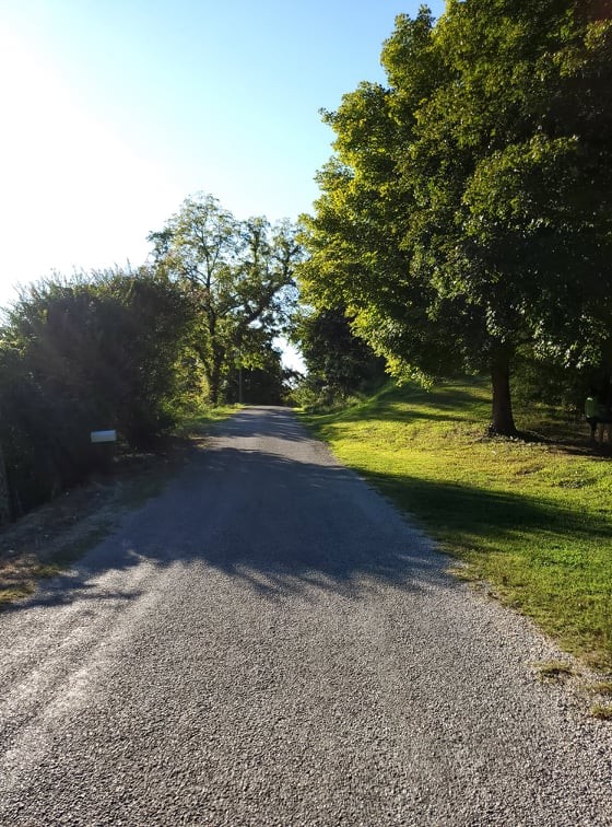 1971 Short Creek Road Linden, TN 37096 - Photo 19 of 38 Gallery Image 19